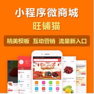 西安小程序开发 app软件定制 app定制开发 小程序软件系统 APP商城图片_高清图_细节图