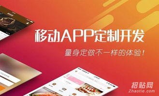 软件app开发 app定制 app源码原生开发